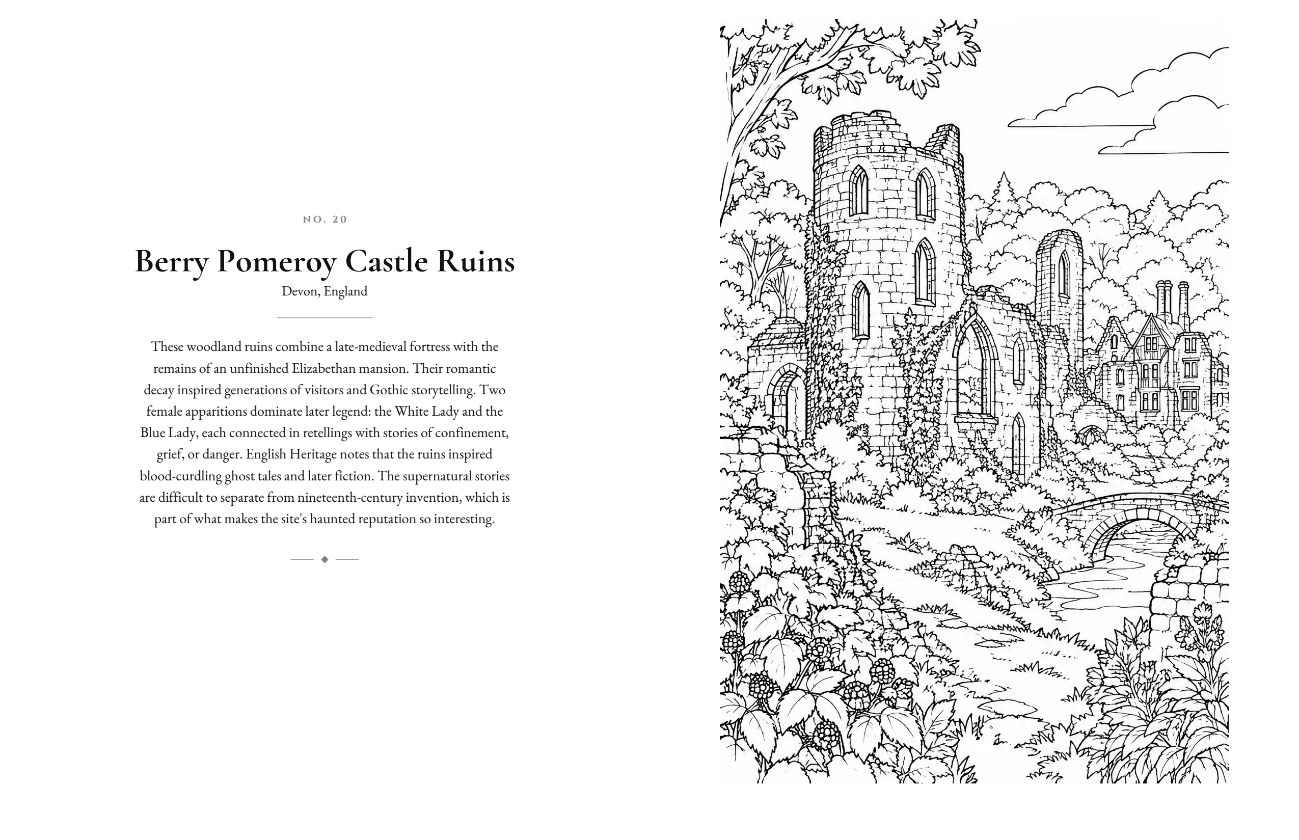Book spread. On the left, a page of notes headed “Berry Pomeroy Castle Ruins, Devon, England”. On the right, a black-and-white line drawing of a ruined round tower among woodland, with a stone bridge and a manor house beyond.
